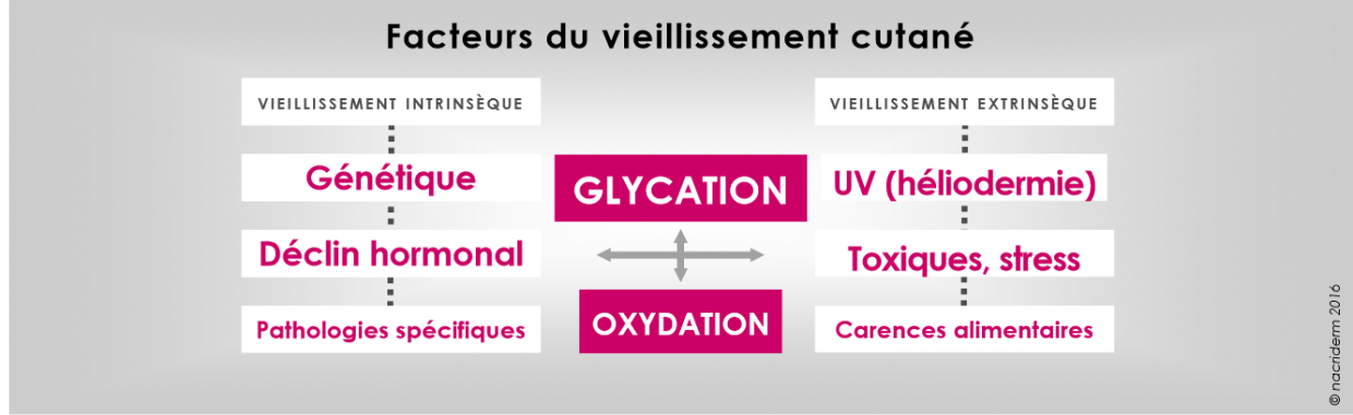 Lille côté sud glycation facteur du vieillissement cutané